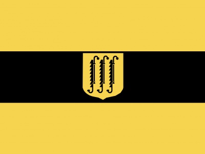 Vlag Zwijndrecht 010x015 cm