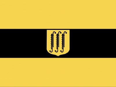 Vlag Zwijndrecht 120x180 cm