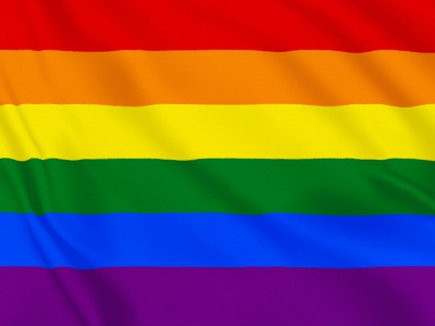 Vlag Regenboog 100x150 cm