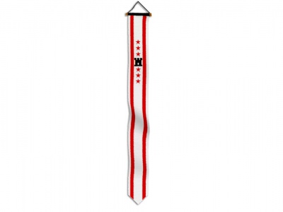 Wimpel Drenthe 300 cm
